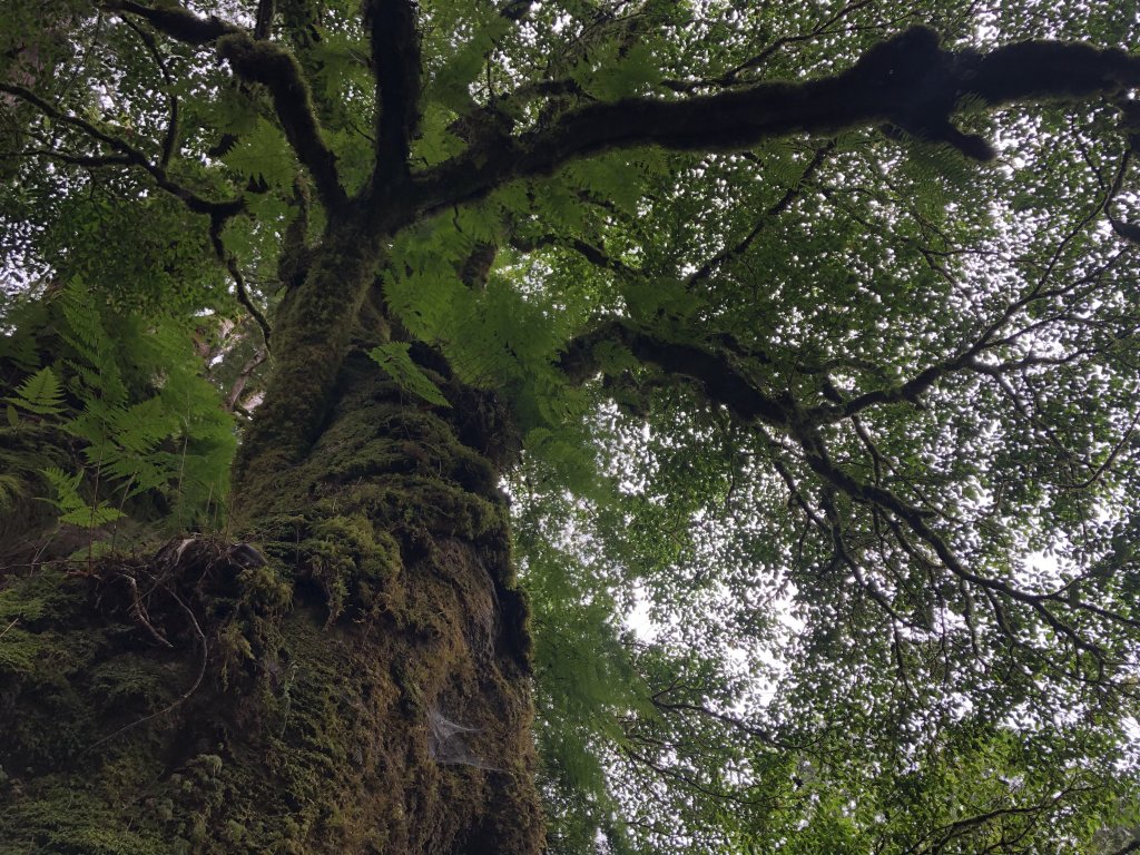 宜蘭 四季 加羅湖_634002