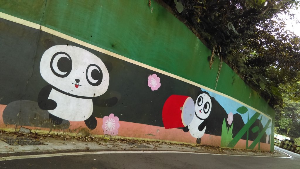 【臺北大縱走7】飛龍步道、樟山寺、銀河洞_878183