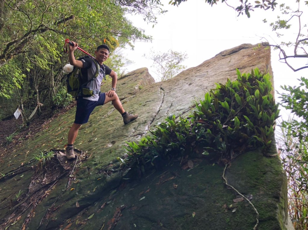 石壁山.嘉南雲峰【警告!螞蝗大軍來襲!!封面圖