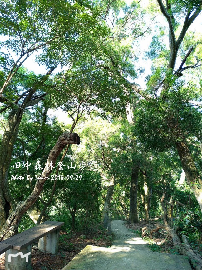 田中森林公園登山步道20180929_455514