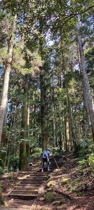 2022 2/28 東眼山_1622048