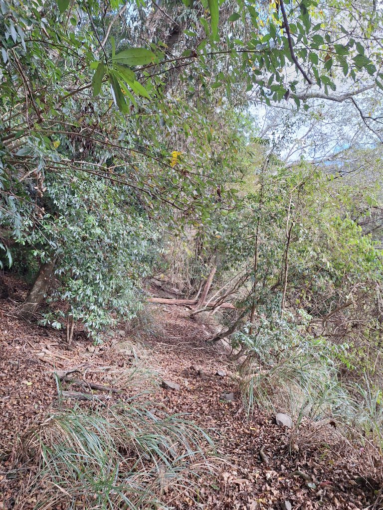 雪見駐在所+雪見山20251225_2971643