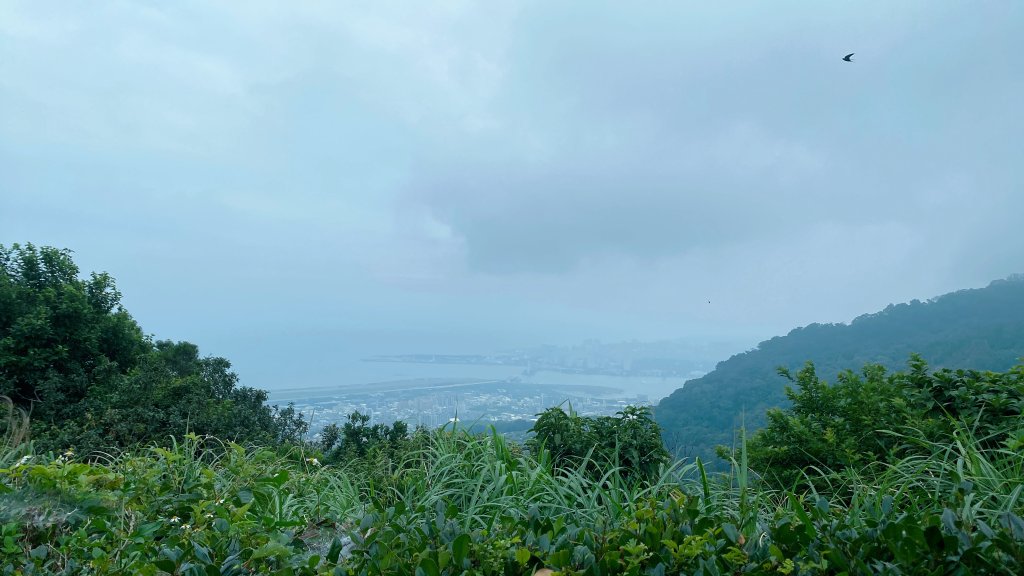 20240616觀音觀鷹尋寶任務福隆山登山步道、林梢步道、牛港稜山登山步道_2535539