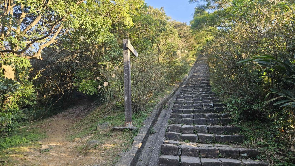 20260115基隆山主東峰_2982648