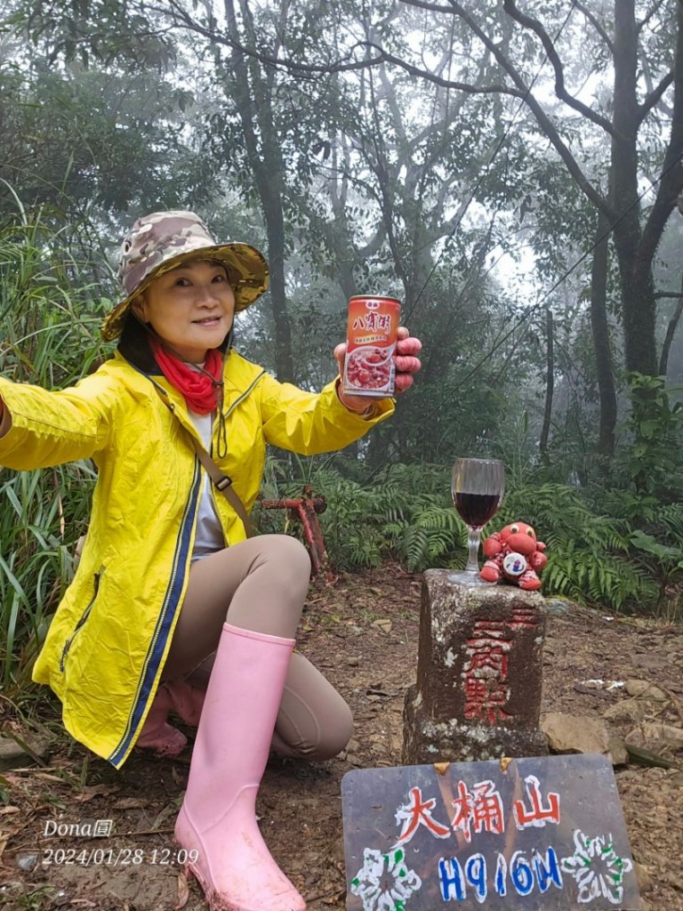 烏來大桶山.大桶山東峰.四崁水山_2450767