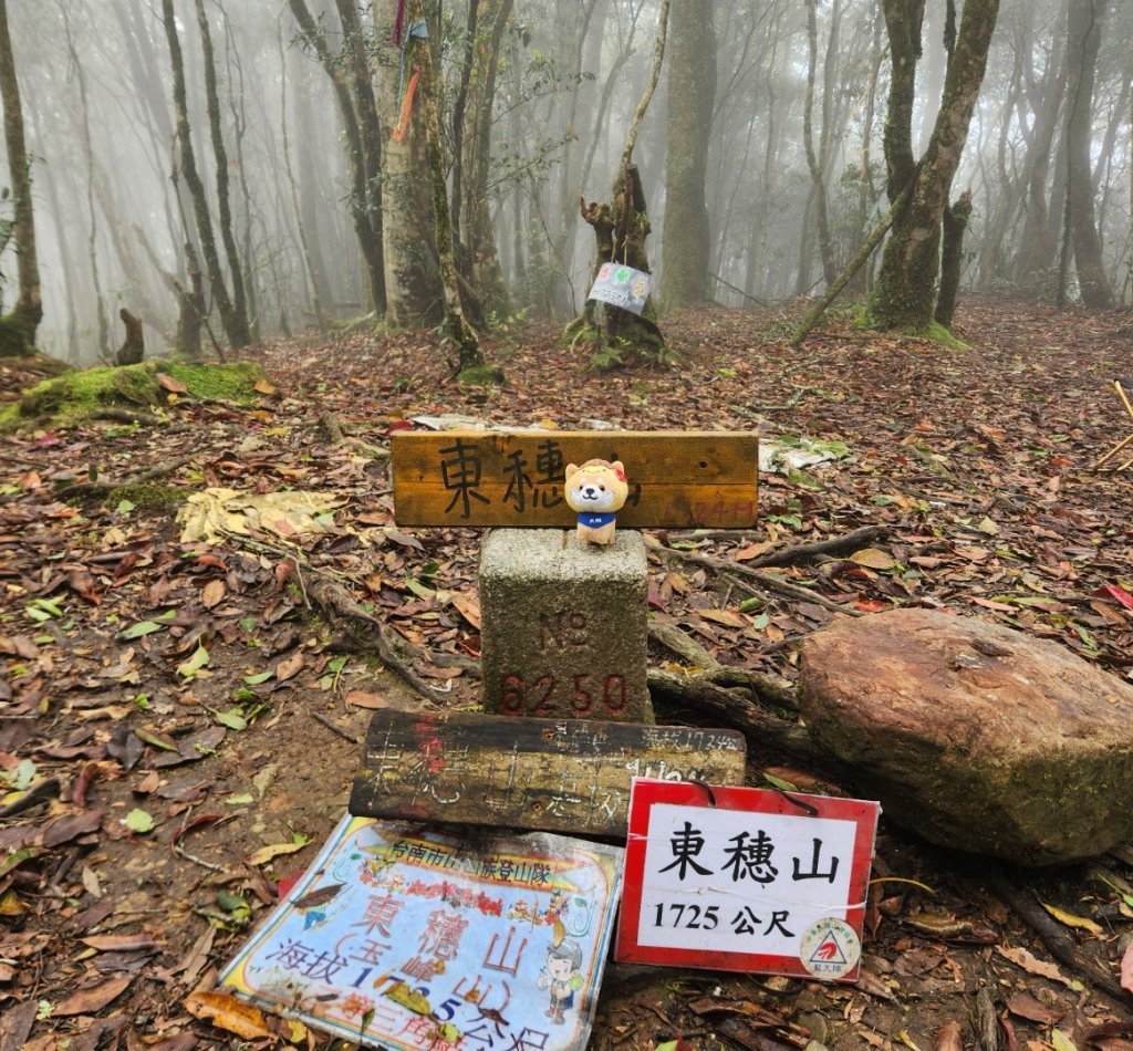 【中級山縱走】魯壁山，東穗山，大島田山，宇老觀景台_2771681