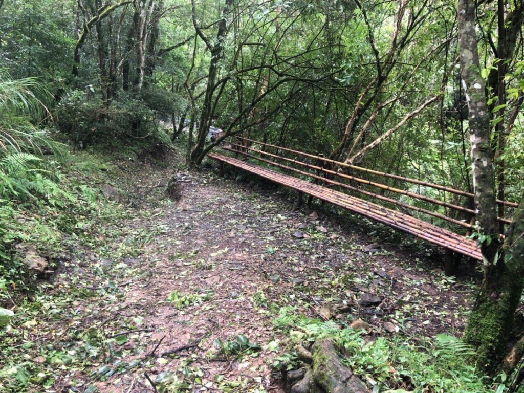 新竹 尖石 司馬庫斯_658148