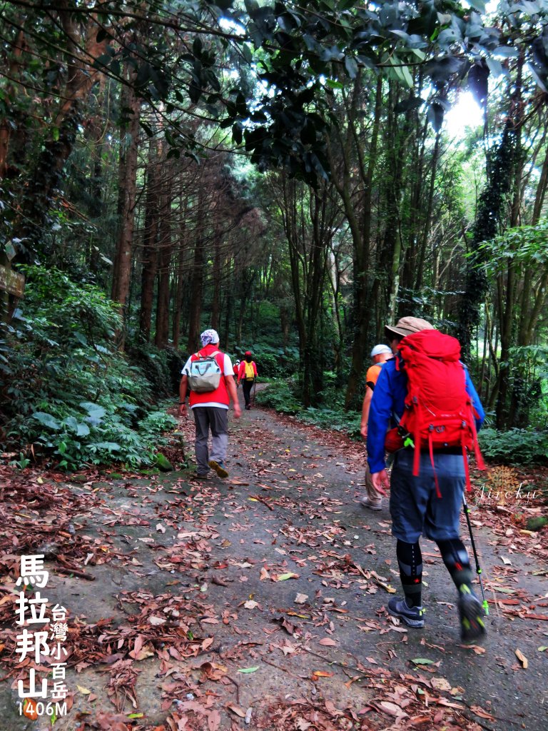 馬那邦山-珠湖登山口攻頂折返 封面圖