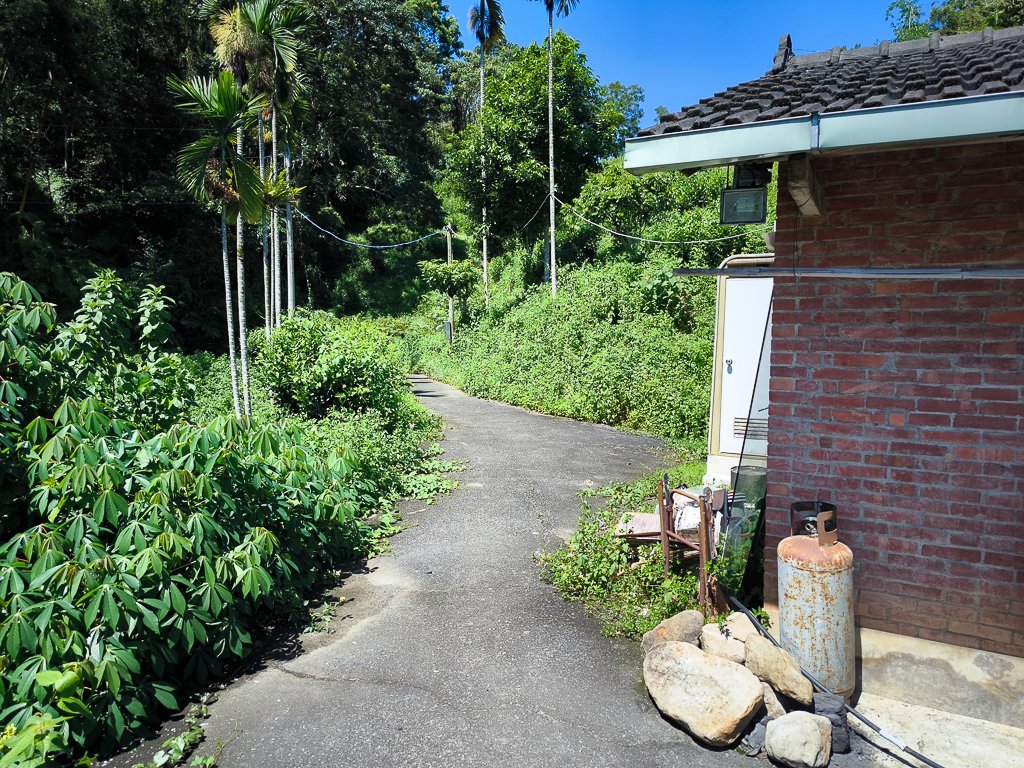 2024-08-22 澀水森林步道_2578464