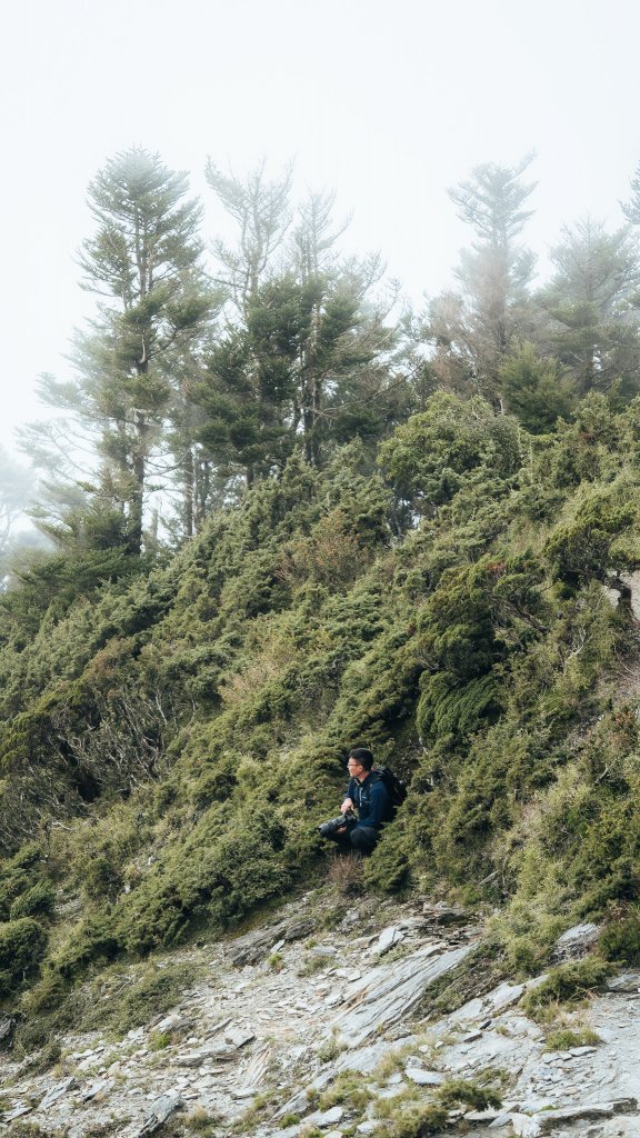 南橫百岳—關山嶺山_2384043