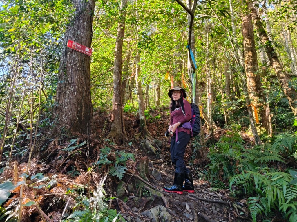 高島縱走20250215_2713754