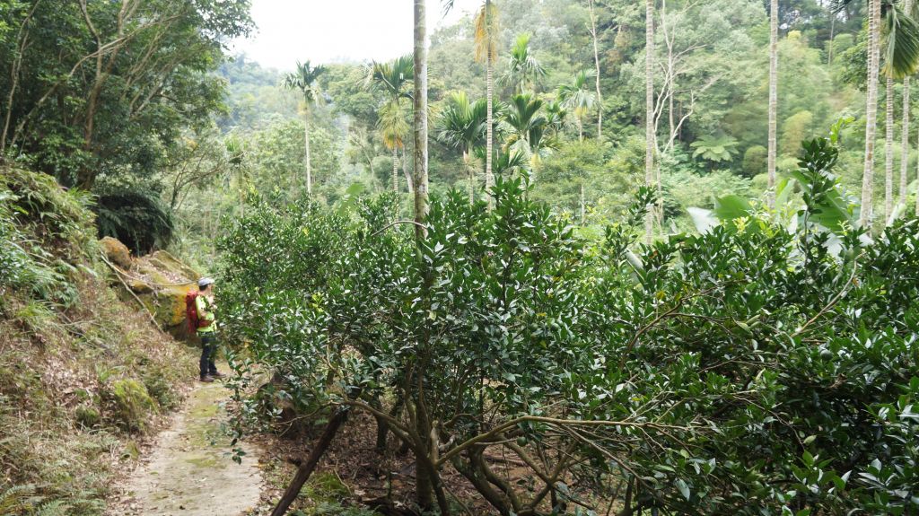 石牛山之溪_399829