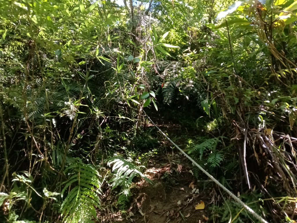 平溪區灰窯山驚險岩稜+司公碗帽山O型_2897928