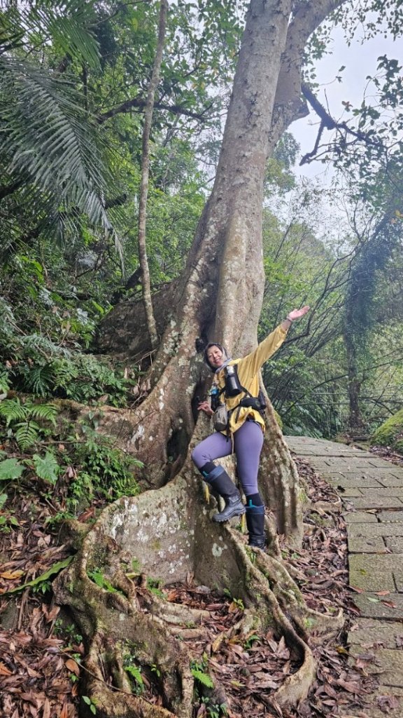 淡蘭南路2+1逆走_2671833