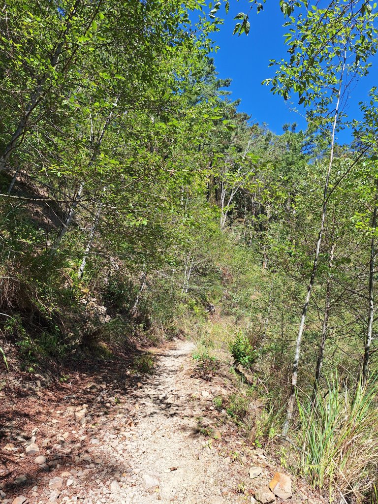 石山引水道20251211_2959531