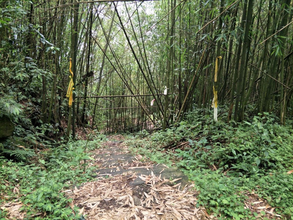 奮瑞古道—雲載山_1426291