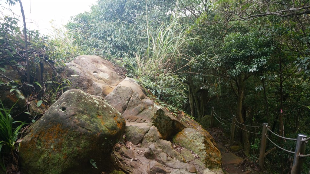 三峽(長壽山)→土城(天上山) 縱走_1233132