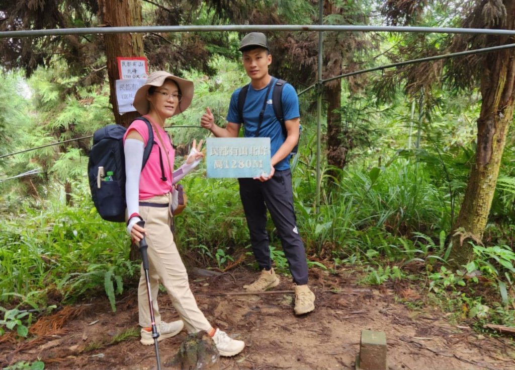 【中級山】夢幻杉木林之饗宴，民都有山，民都有山北峰_2744687