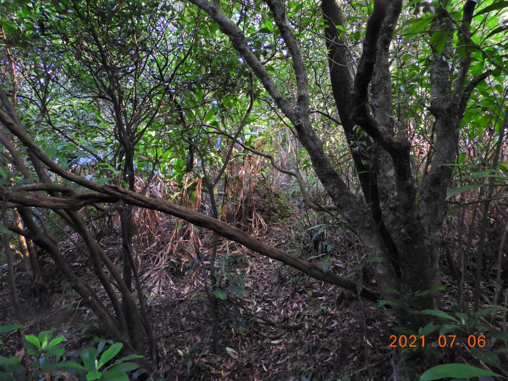 基隆 七堵 仙洞湖山_1422576