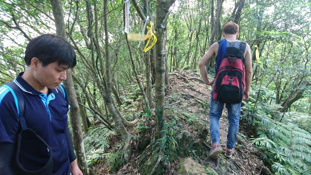 孝子山 ．慈母峰．普陀山．中央尖_52651