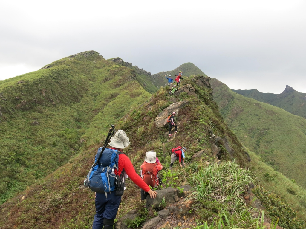 黃金十稜之劍龍鋸齒茶壺俯瞰四稜連走_51950