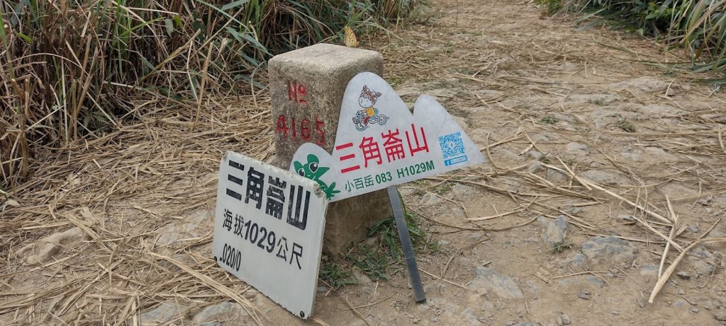 2022 7/25 三角崙山_1778274