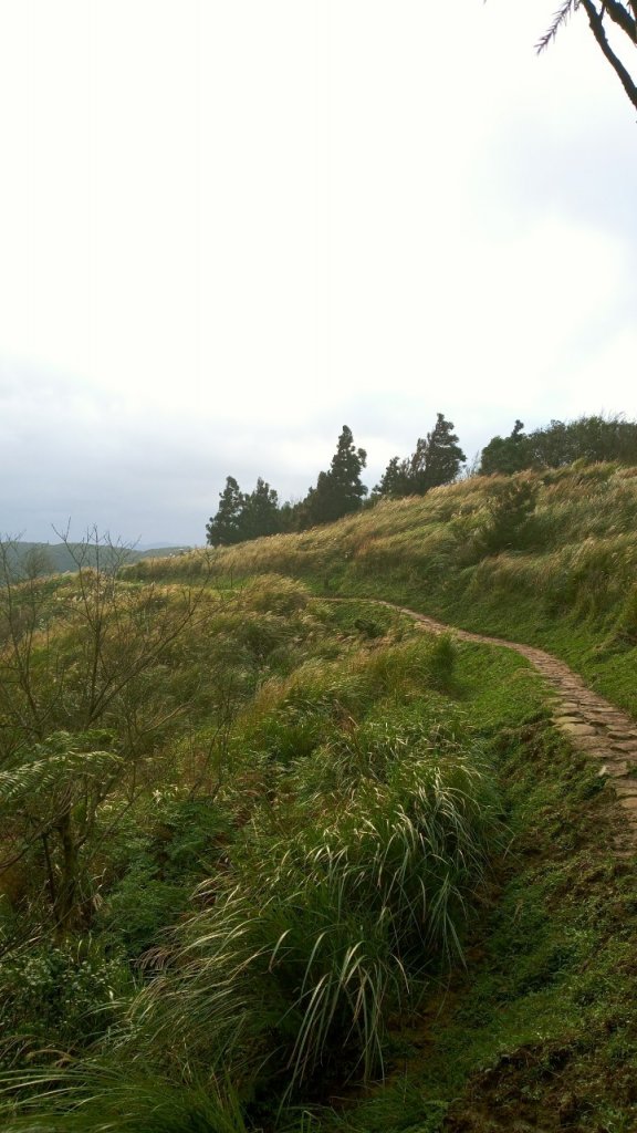 陽明山東西大縱走，下次再把西段走完_1963550