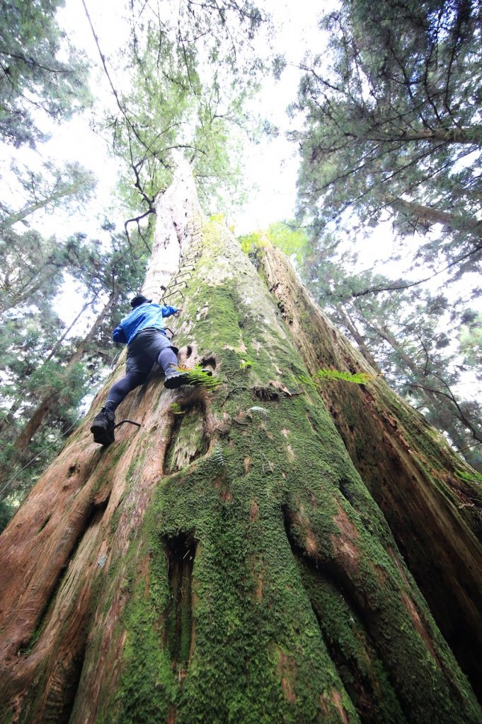 水樣森林 第一次在山裡過夜_659213
