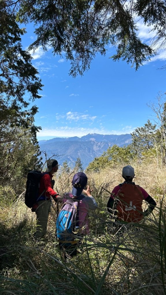 大同加羅湖穆魯洛亞滬庫霞四季警備道_2748255