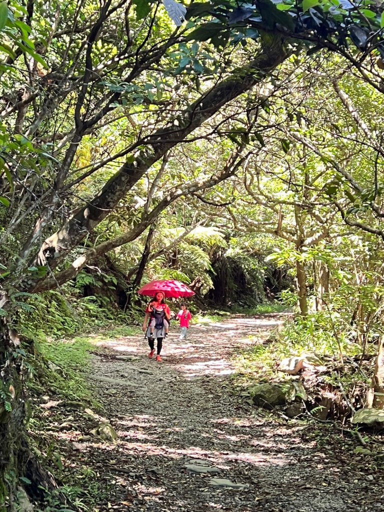 9/24(日)跑馬古道+鵲子山(小百岳)_2296581