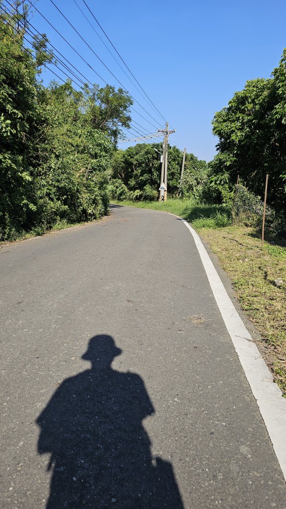 241102-小崗山+崗山之眼+彩虹嶺（皇帝椅）。美美兔閒來無事走一大圈9K。_2643265