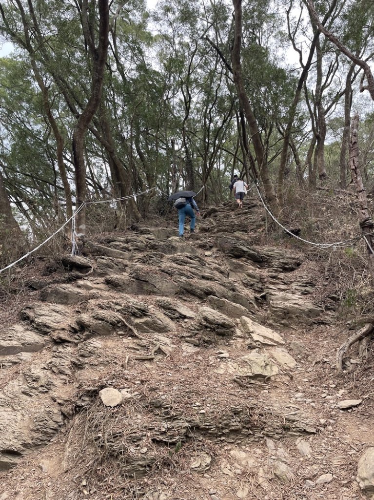 笠頂山_2774736