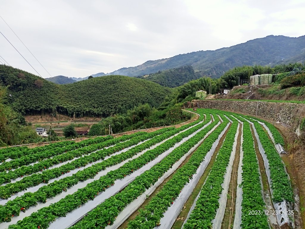 四訪苗栗的花果山-小百岳#037馬那邦山、雪霸國家公園管理處【小百岳集起來、苗栗-臺灣百大必訪步道】_2394301
