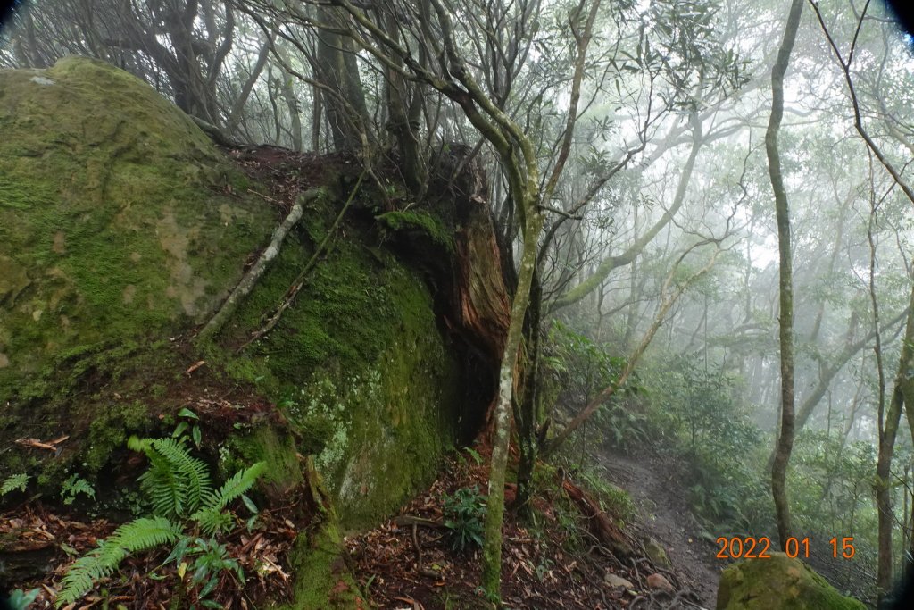 新竹 尖石 內鳥嘴山_1581184