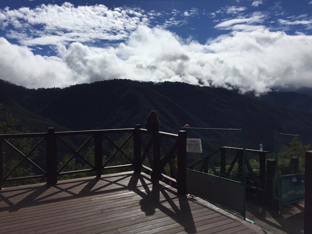 國慶日走雪主東_464540