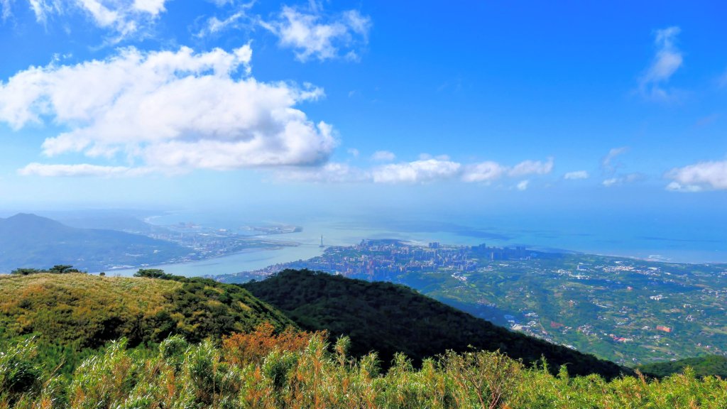 向天蝦不蝦封面圖