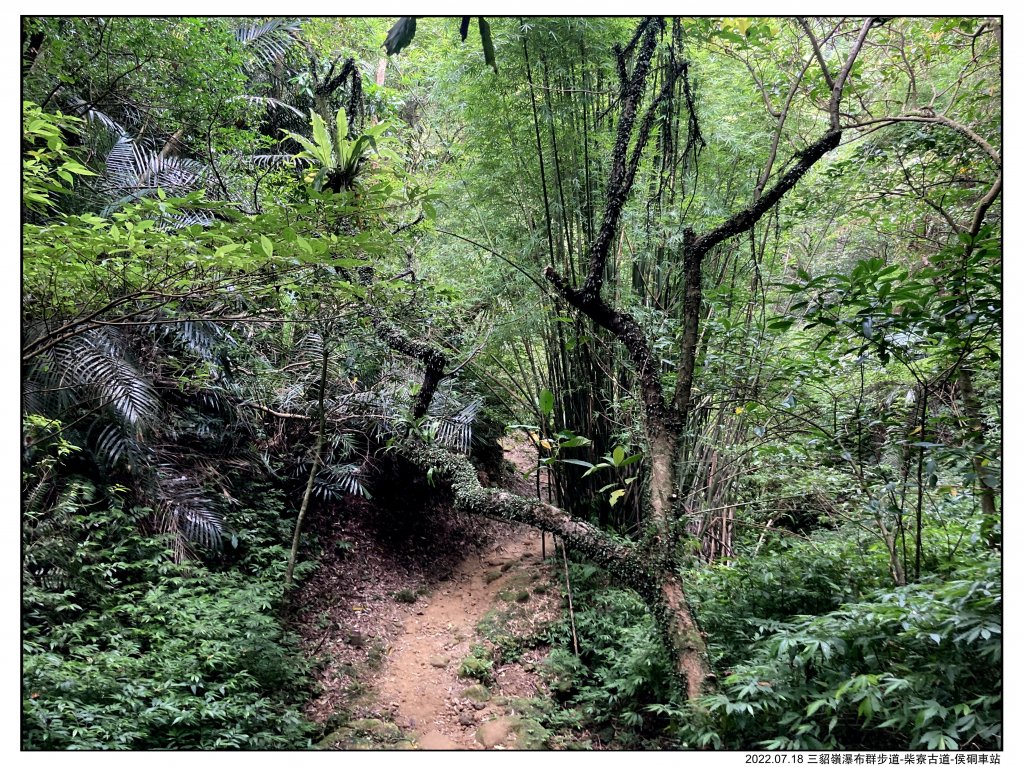 2022.07.18 三貂嶺車站-侯硐車站：〖三貂嶺瀑布群步道〗〖中坑古道〗〖柴寮古道〗_1775321