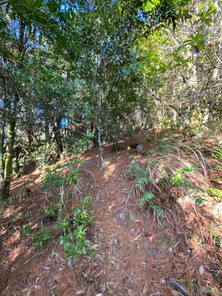 羅馬縱走_2038373