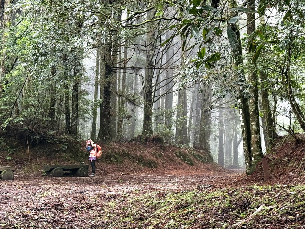 司馬限林道 訪 北坑駐在所_2811077