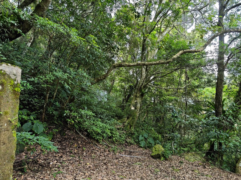 2025_0601 赫威山_2802279