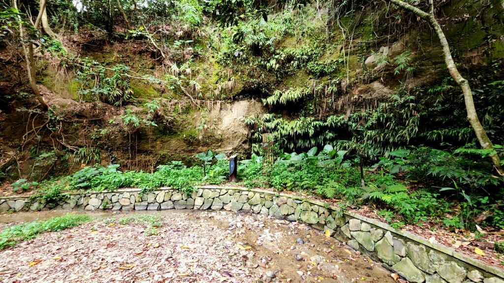 南投松柏坑山，登廟步道，賞茶步道，七星陣地公園，日月潭，彰化石牌坑古道_1801348