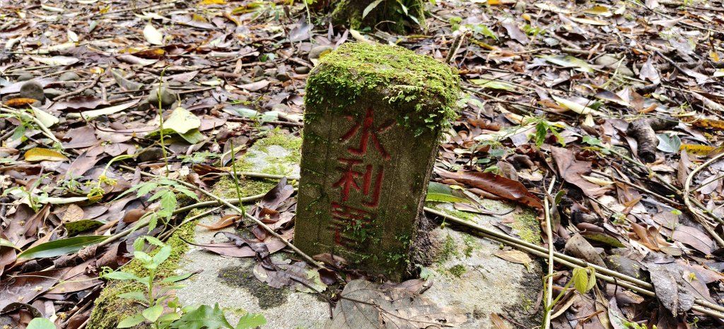 2025/03/16_蓬萊溪護魚步道+萊園坪山_2737573