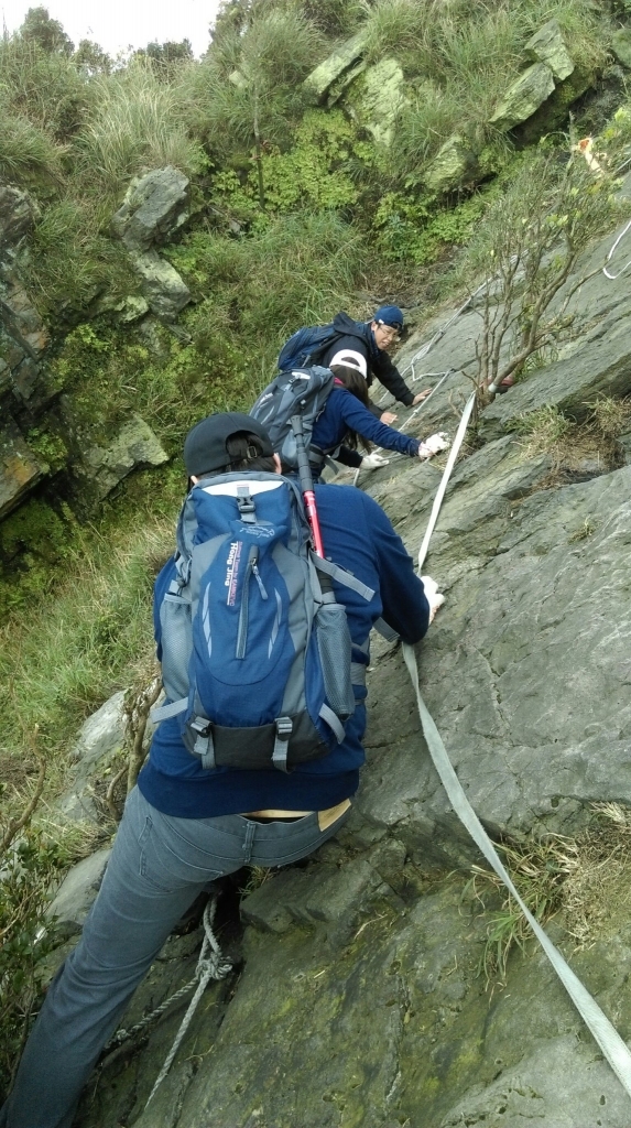 黃金五、六稜: 劍龍稜、鋸齒稜，茶壺山_94626