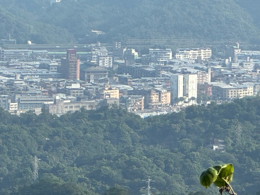 011姜子寮山_2598874