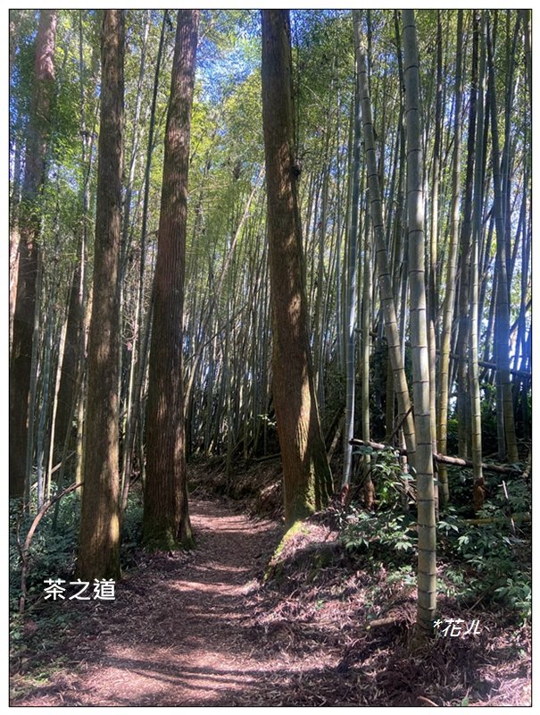 頂石棹步道群、樂野山、霹靂山 d型路線_2749177