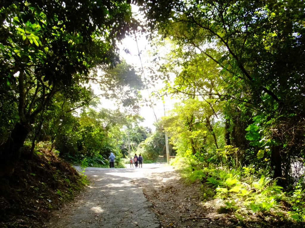 劍南山步道、劍南蝶園_257550