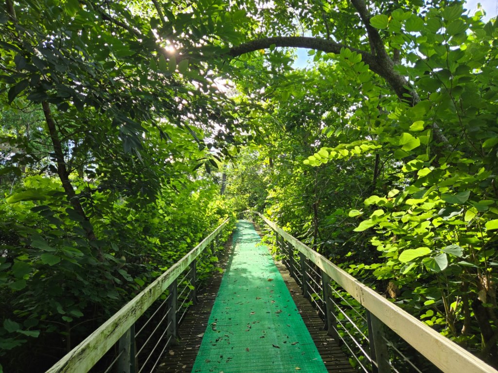 虎頭埤環湖步道（新化虎頭山）_2890920