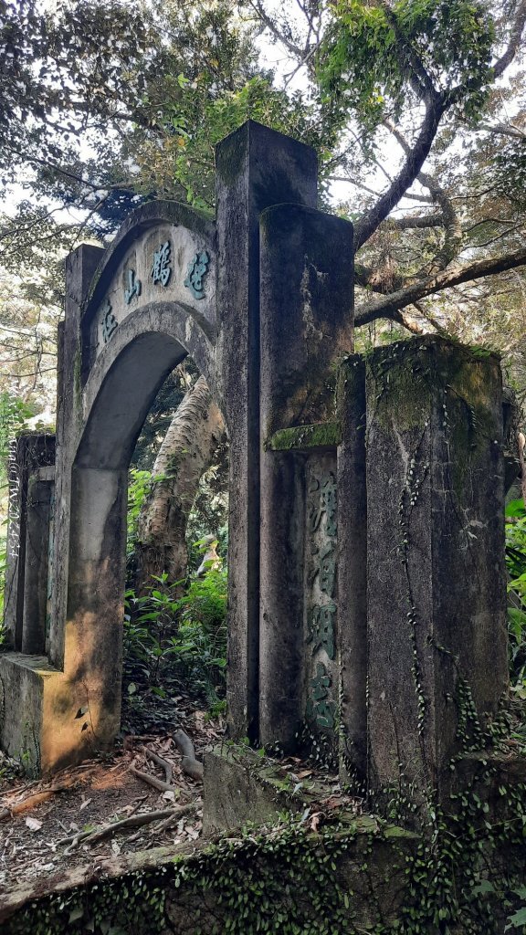 《新竹》湖口老街｜金獅古道O繞茶香及仁和步道20241206_2663709