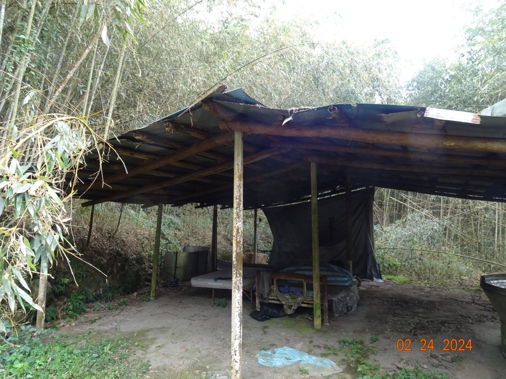 矢場谷山縱走勃子山往返_2436196