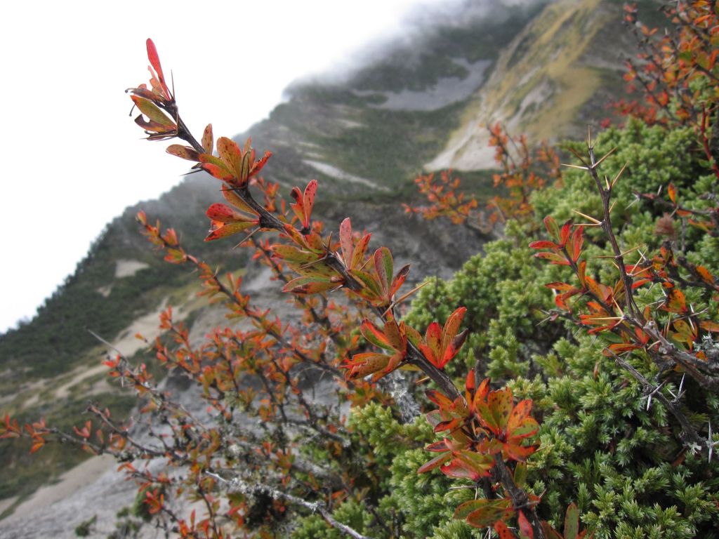 北一段 南湖前四峰_378400